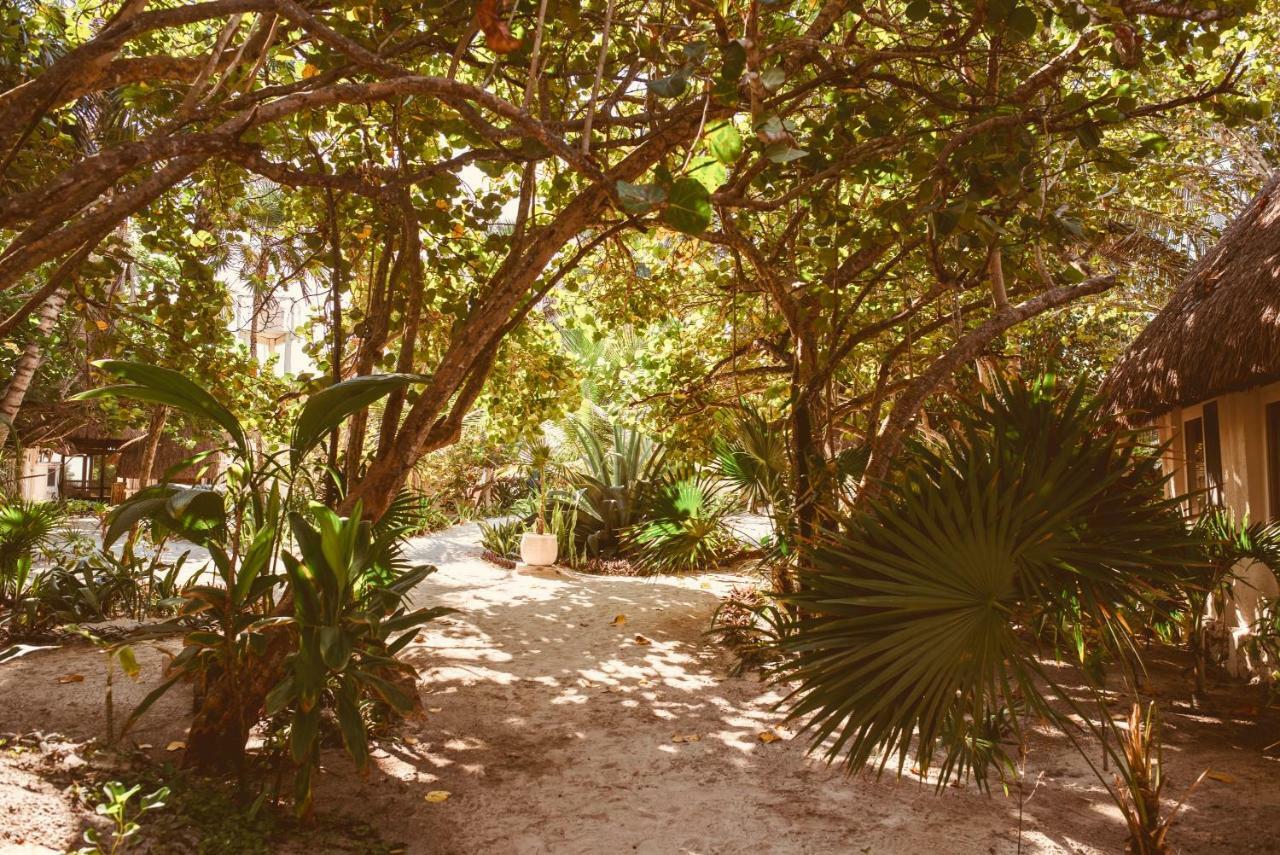 Hotel Esencial Tulum Exteriér fotografie