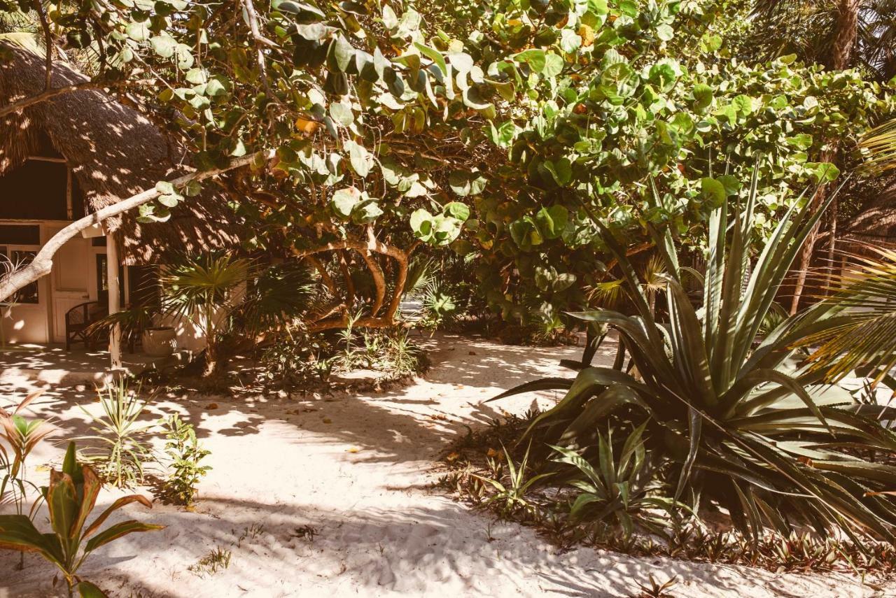 Hotel Esencial Tulum Exteriér fotografie